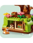 LEGO DUPLO Discovery Forest Wild Animals, 10480 product photo View 04 S