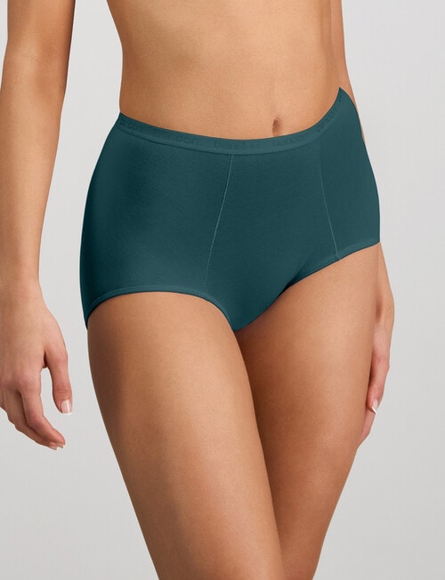 Bendon Body Cotton Full Brief, Mediterranea product photo View 03 L