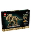 LEGO Jurassic World Jurassic World Fossils: Triceratops, 77985 product photo View 02 S
