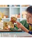 LEGO Creator 3-in-1 Creator 3 in 1 Wild Animals: Majestic Lion, 31386 product photo View 04 S