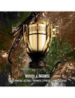 Rabanne Invictus Parfum Elixir product photo View 03 S