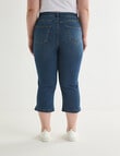 Denim Republic Curve Skinny Capri Pant, Mid Wash product photo View 02 S