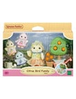 Sylvanian Families Citrus Bird Family product photo