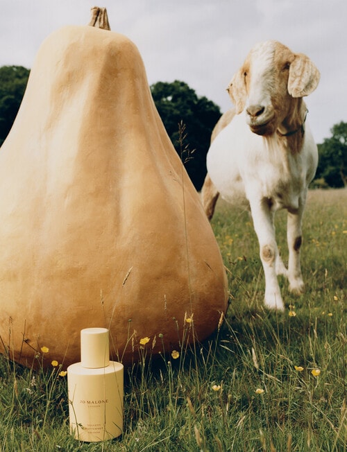 Jo Malone London Velvety Butternut Cologne, 30ml product photo View 04 L