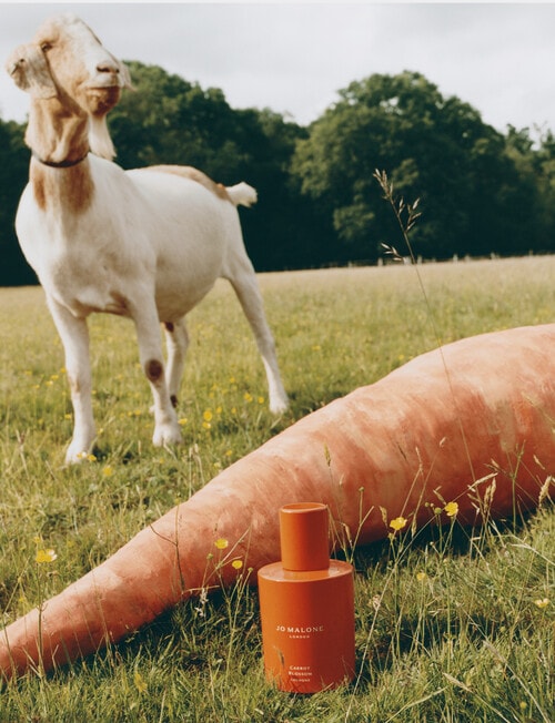 Jo Malone London Carrot Blossom Cologne, 30ml product photo View 04 L