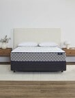 Sleepyhead Chiropractic Firm Bedset product photo