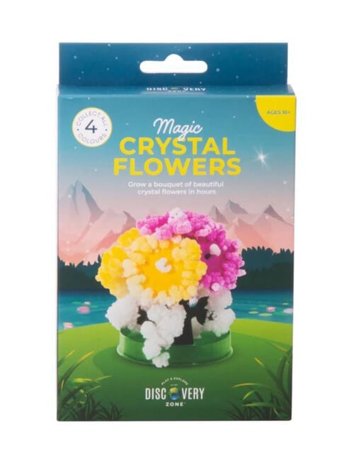 Discovery Zone Magic Flower Activity Set, Assorted product photo