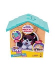 Little Live Pets My Puppys Home Mini Orange, Assorted product photo View 03 S