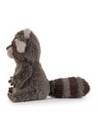 Jellycat Trixiwoo Raccoon product photo View 04 S