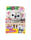 Little Live Pets My Baby S4 Koala Plush product photo
