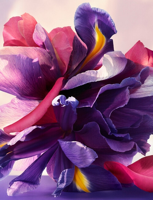 Bvlgari Omnia Amethyste Eau de Parfum product photo View 05 L