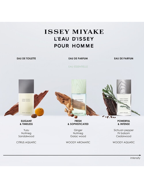 Issey Miyake L'Eau d'Issey Pour Homme EDT product photo View 02 L