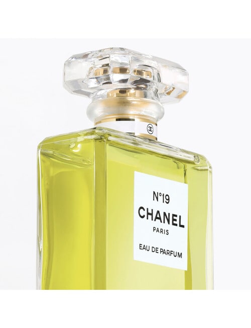CHANEL N°19 Eau de Parfum Spray 100ml product photo View 02 L