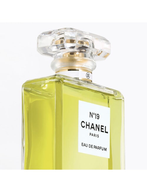 CHANEL N&deg;19 Eau de Parfum Spray 100ml product photo View 02 L