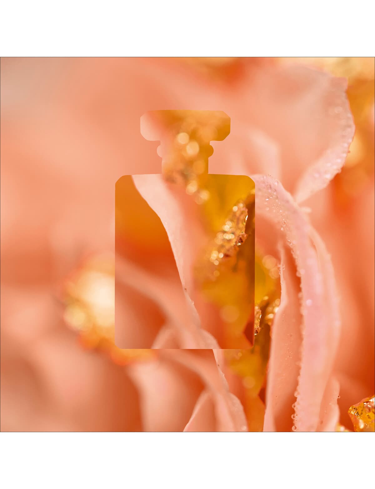 Macy's Perfumes Coco Noir Chanel Macy's Coco Noir Chanel