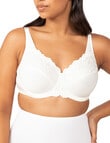 Triumph Embroidered Minimiser Underwire Bra, Ivory, D-E product photo