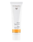 Dr Hauschka Rose Day Cream, 30ml product photo