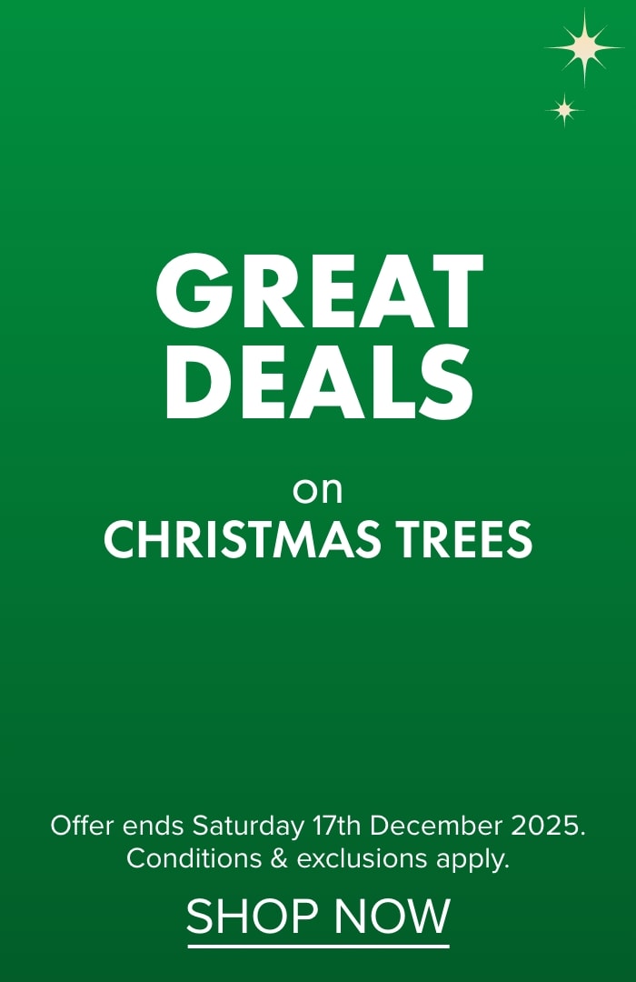 GREAT DEALS on Christmas Trees