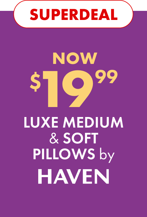 SUPERDEAL NOW $19.99 Luxe Medium & Soft Pillows by Haven