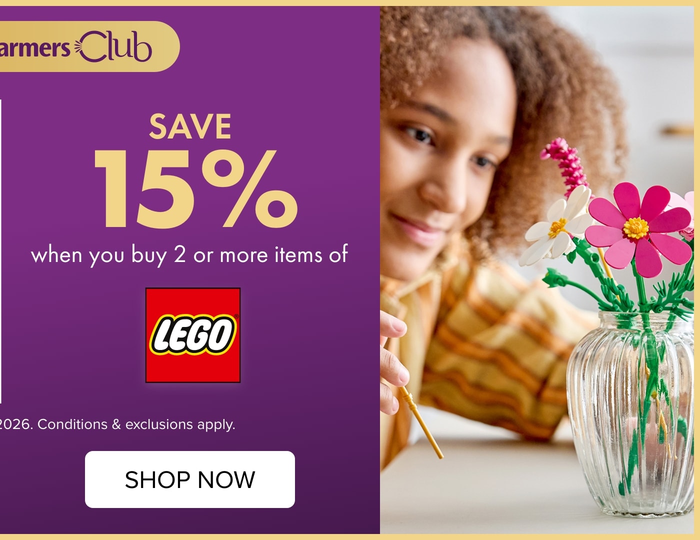 Save 15% when you buy 2 or more items of Lego