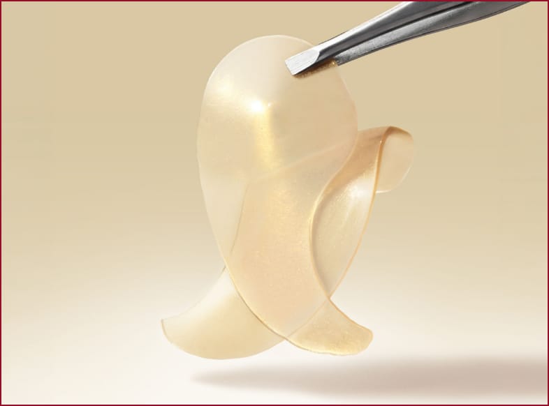 Boost Lab 24K Gold Eye patches