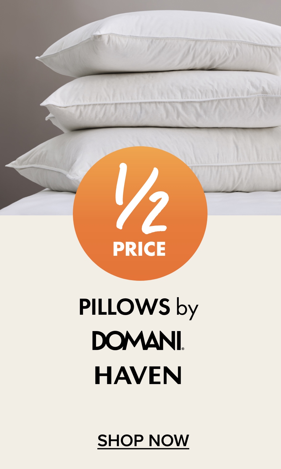 1/2 PRICE Pillows by Domani & Haven