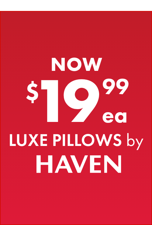 NOW $19.99ea Luxe Pillows by Haven