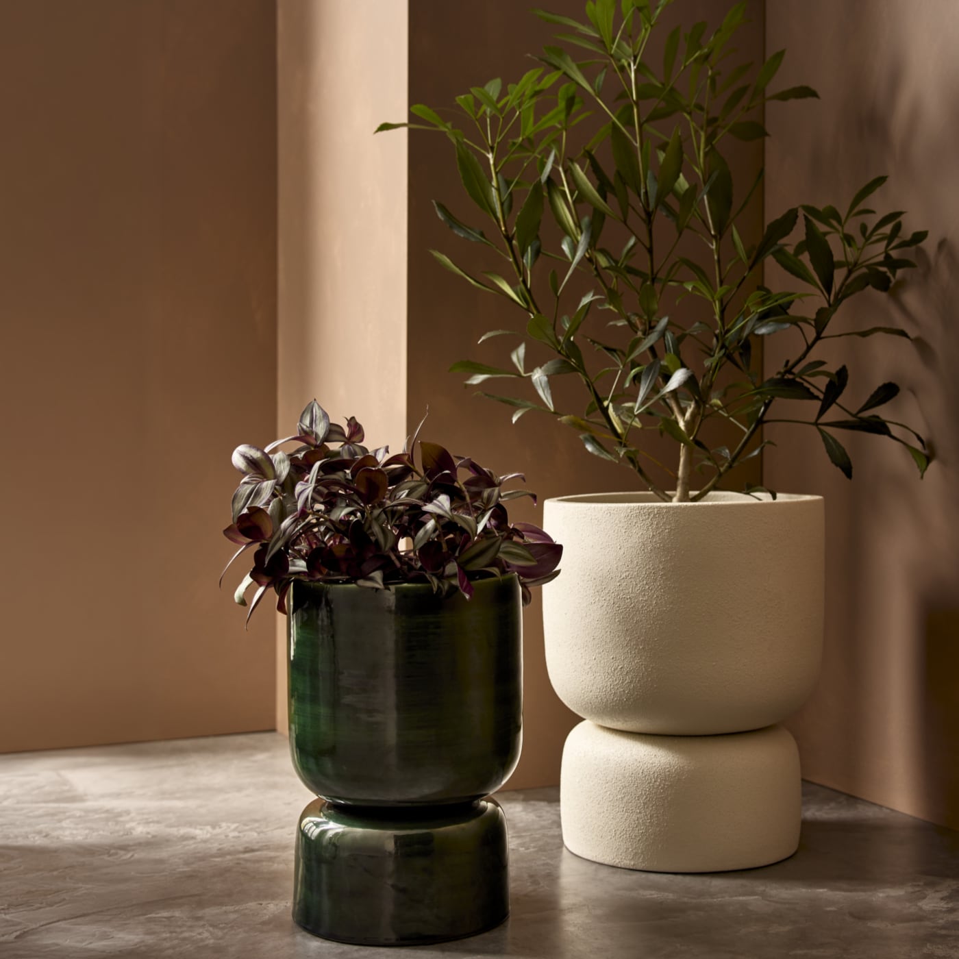 Planters Collection Preview