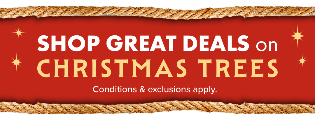 SHOP GREAT DEALS ON CHRISTMAS TREES