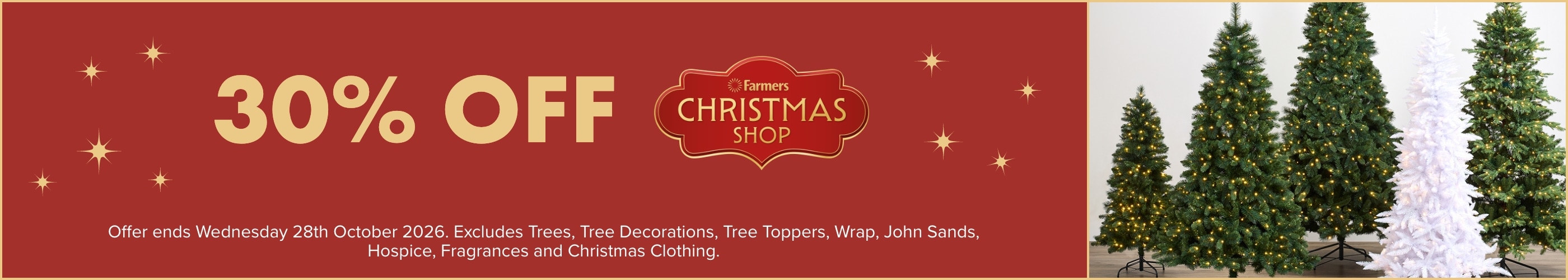 30% OFF Christmas Shop
