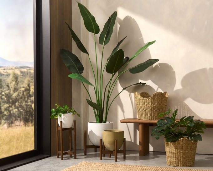 Artificial Plants & Planters