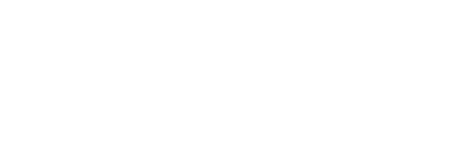 Flash Logo