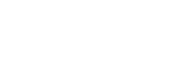Handsome Logo