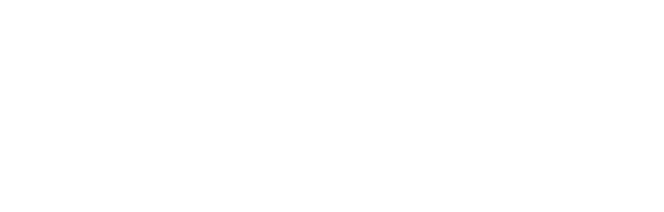 Skinnies Logo